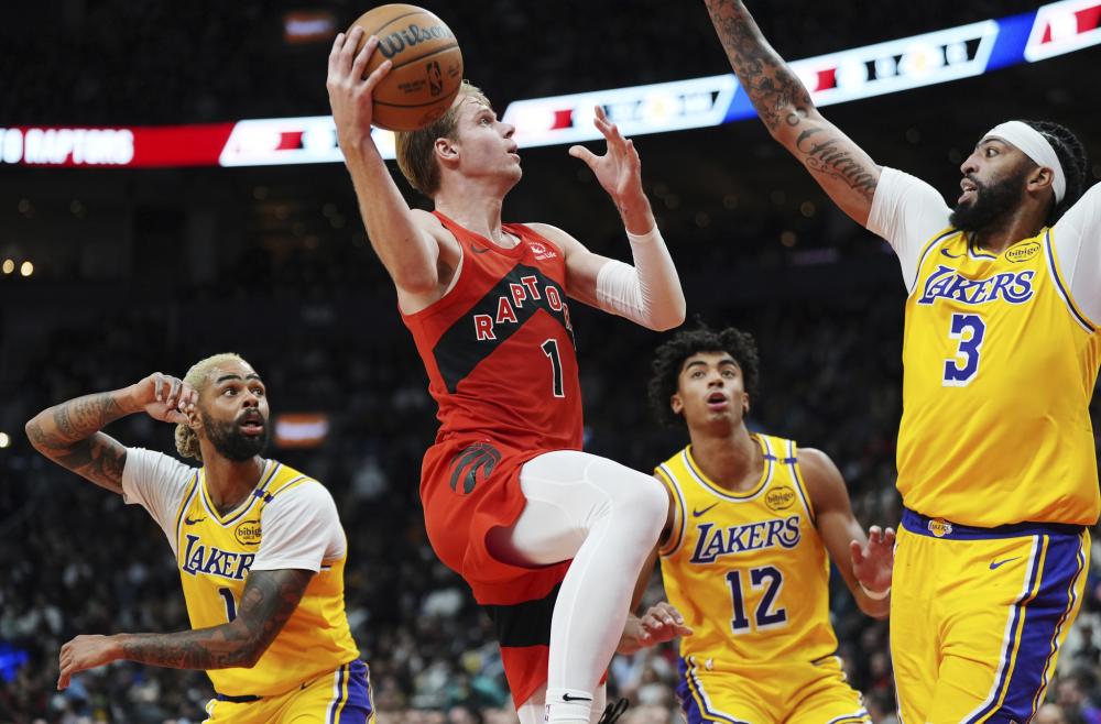 加之可能在 加之可能在